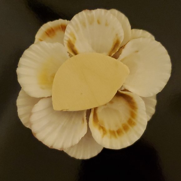 Home decor shell flower - Picture 5 of 6